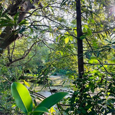 Yala Safari River View Hotel ティッサマハーラーマ エクステリア 写真