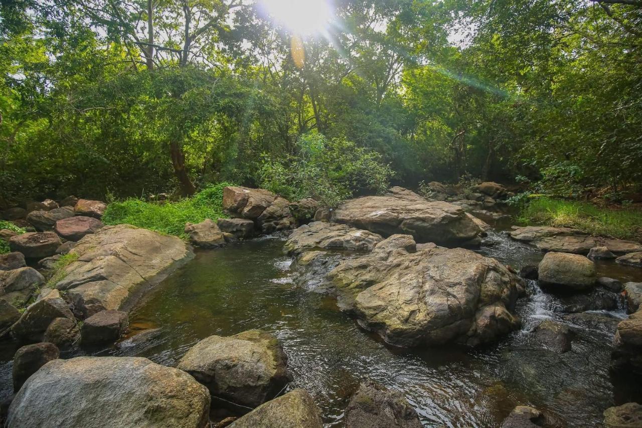 Yala Safari River View Hotel ティッサマハーラーマ エクステリア 写真