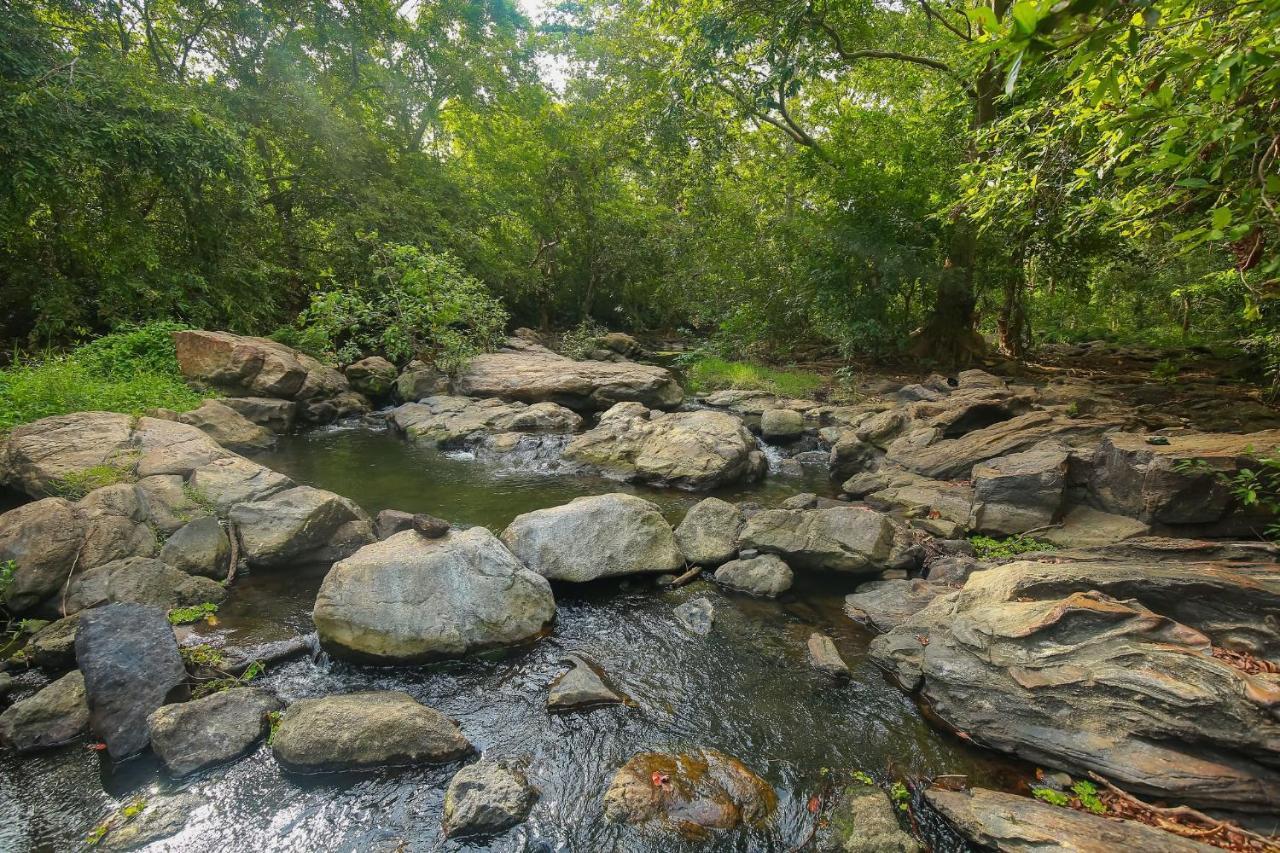 Yala Safari River View Hotel ティッサマハーラーマ エクステリア 写真