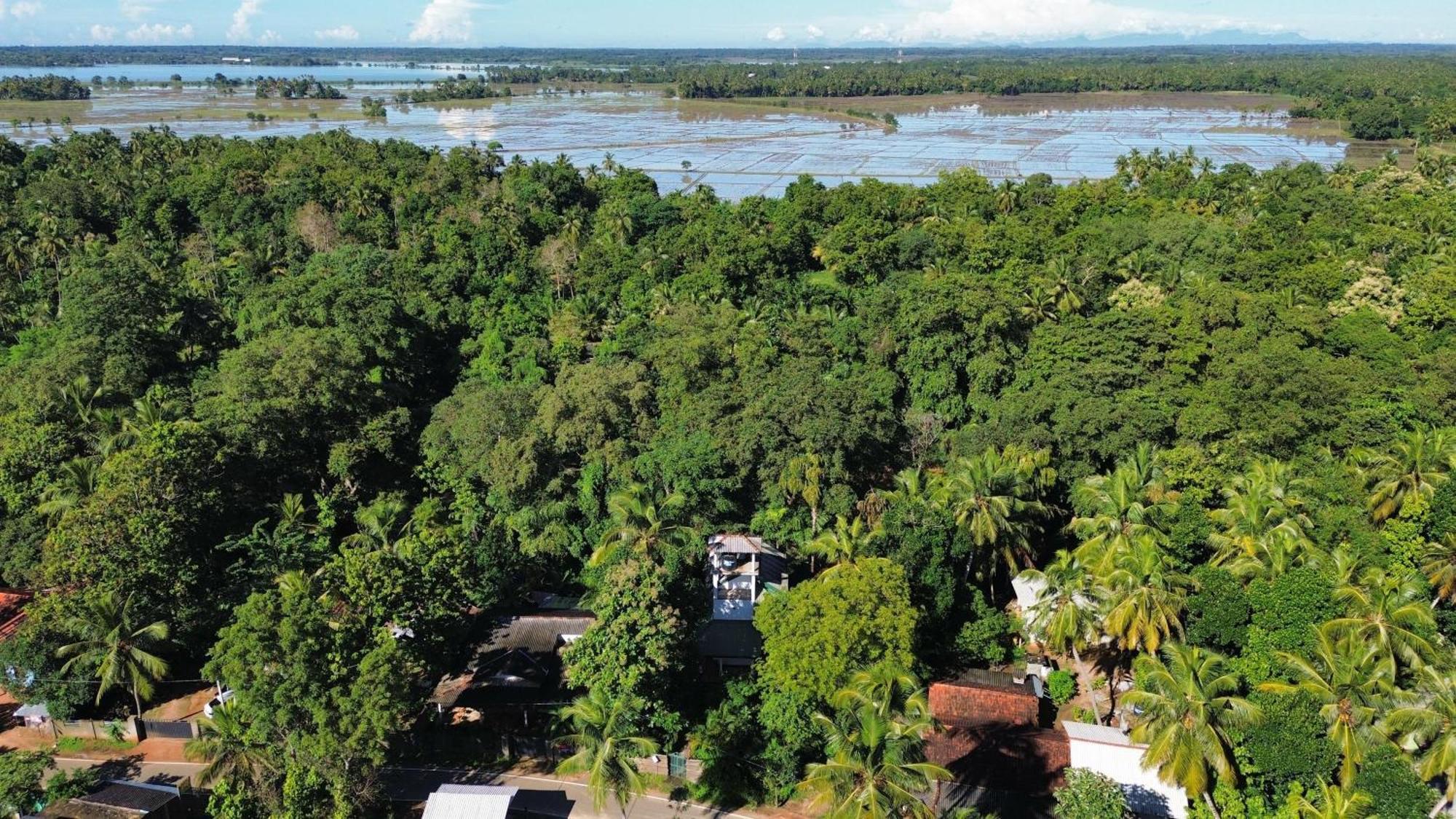Yala Safari River View Hotel ティッサマハーラーマ エクステリア 写真