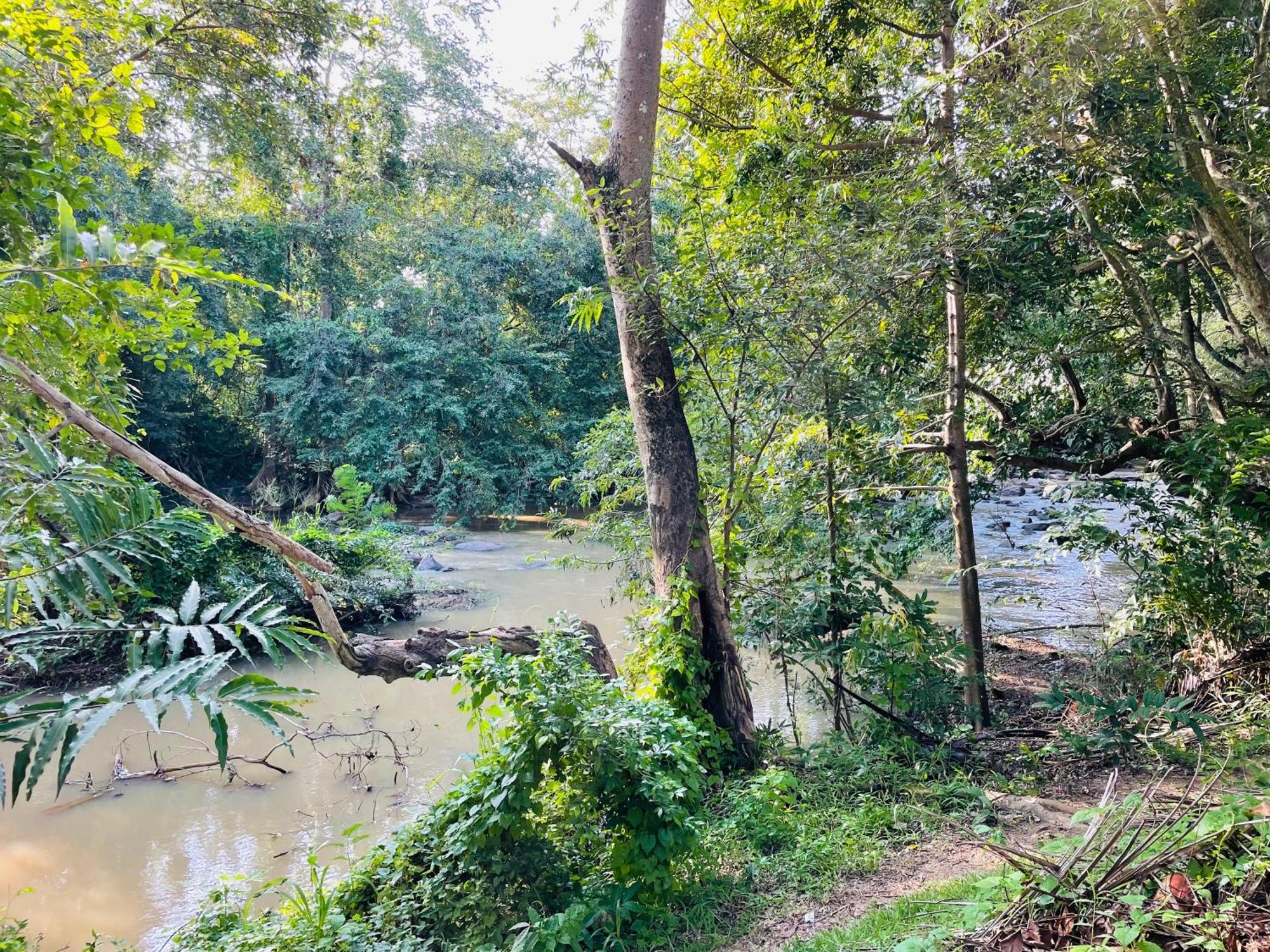 Yala Safari River View Hotel ティッサマハーラーマ エクステリア 写真