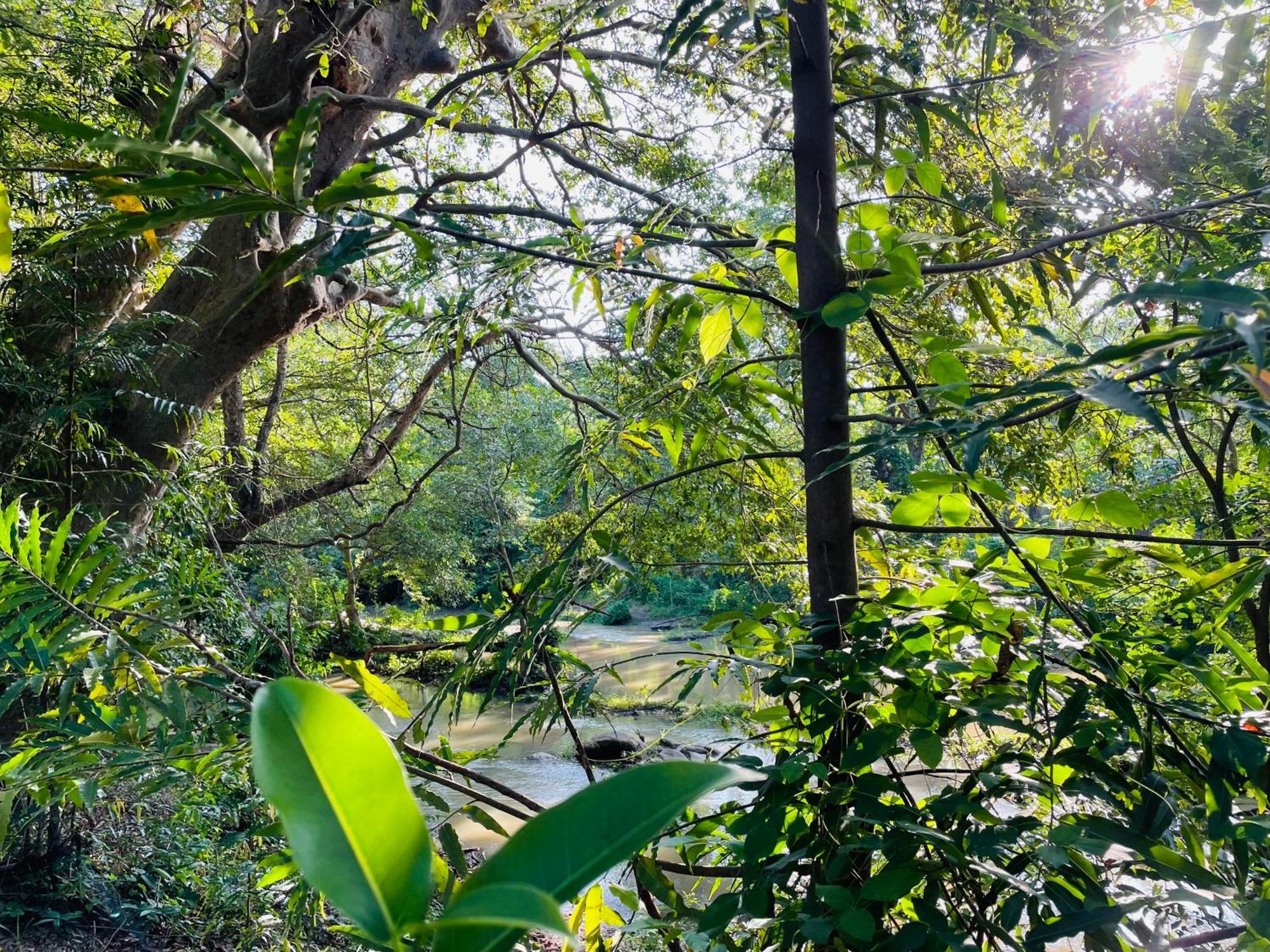 Yala Safari River View Hotel ティッサマハーラーマ エクステリア 写真