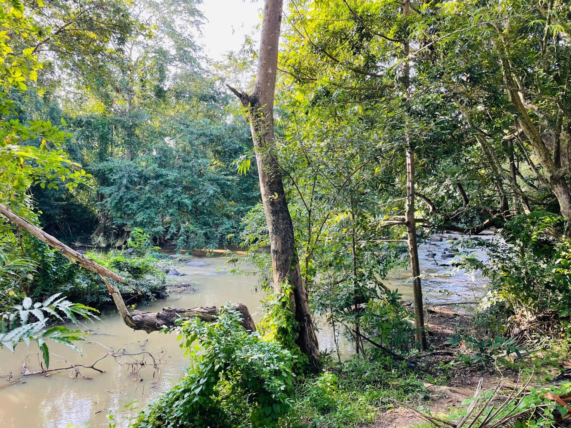 Yala Safari River View Hotel ティッサマハーラーマ エクステリア 写真