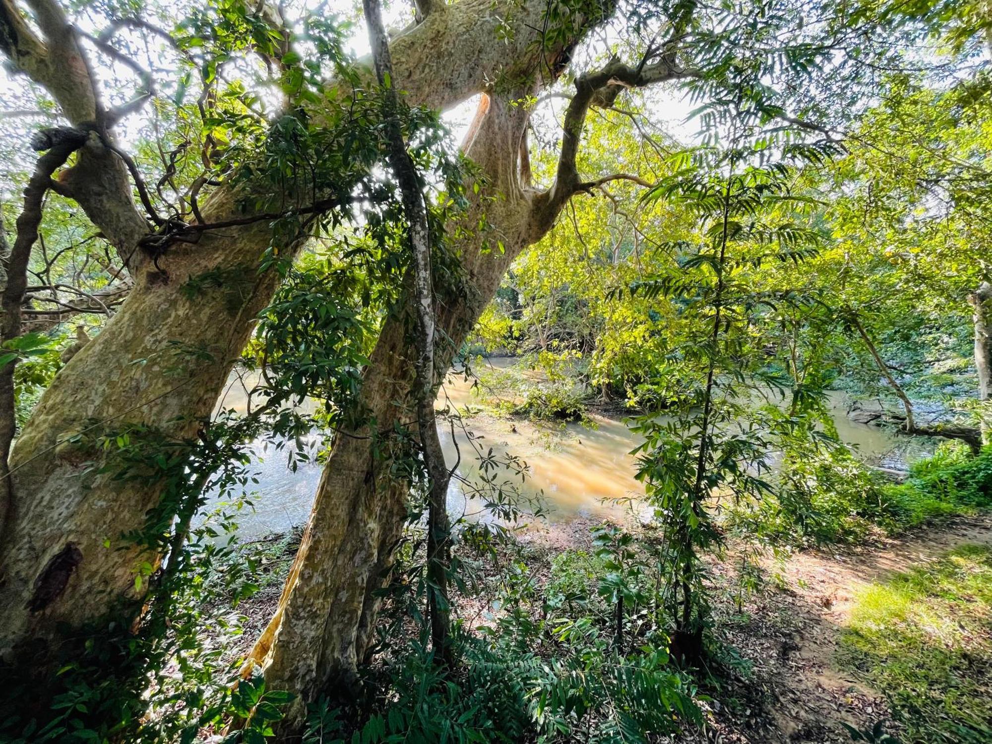Yala Safari River View Hotel ティッサマハーラーマ エクステリア 写真