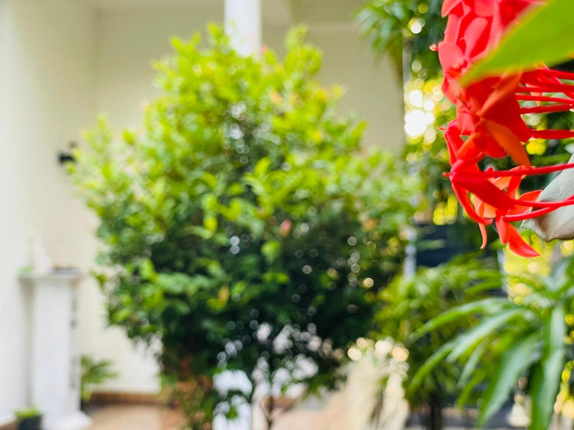 Yala Safari River View Hotel ティッサマハーラーマ エクステリア 写真