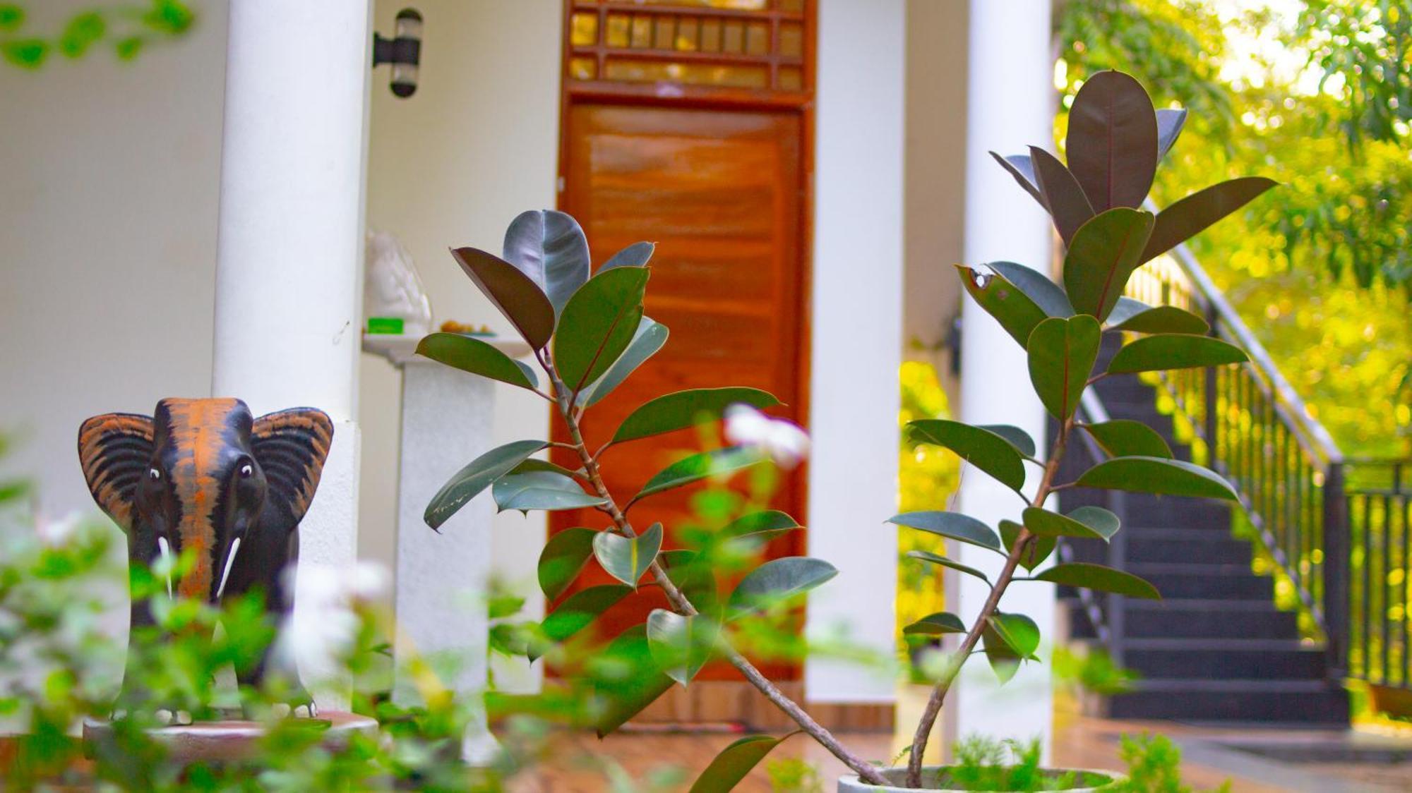 Yala Safari River View Hotel ティッサマハーラーマ エクステリア 写真