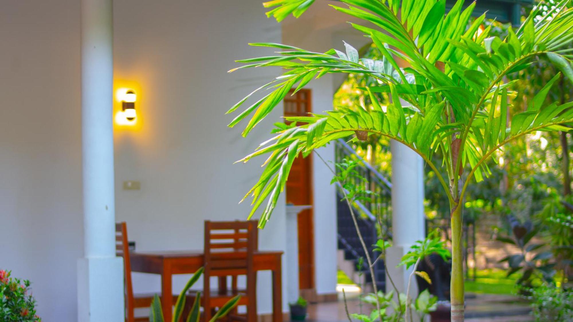 Yala Safari River View Hotel ティッサマハーラーマ エクステリア 写真